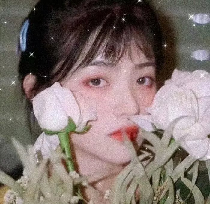 校花的秘密花园